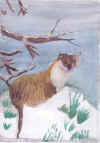 animals 003.jpg (18567 bytes)