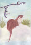 animals.jpg (11699 bytes)